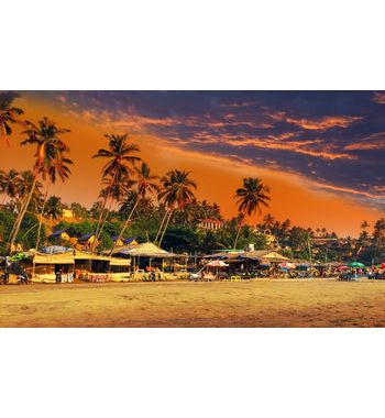 Прямой рейс в Гоа из Ташкента!